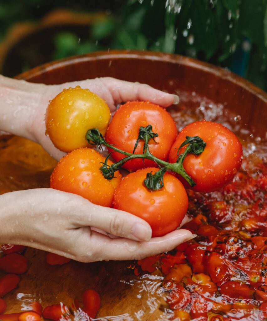 Fresh tomatoes at farmers market